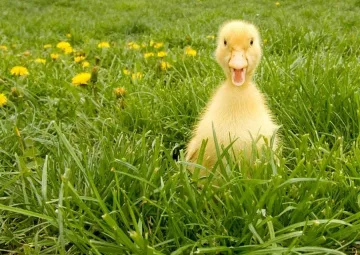 Ясно време днес, утре температурите започват да падат