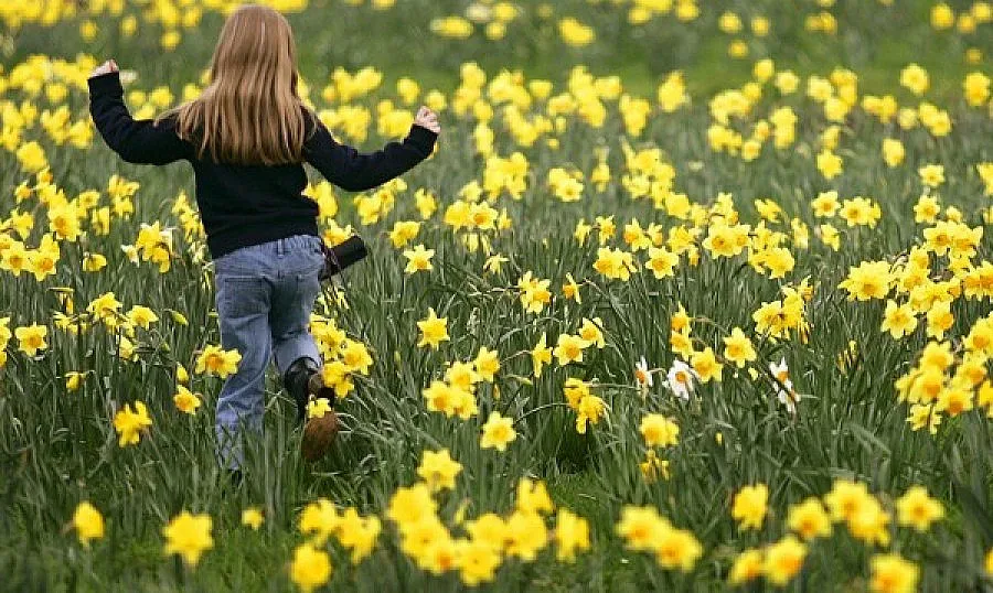 Май идва с пролетни дъждове и летни температури