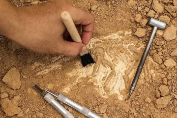 Изненадваща находка в гробница в Судан