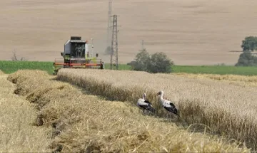 Земеделската земя поскъпна с 5%