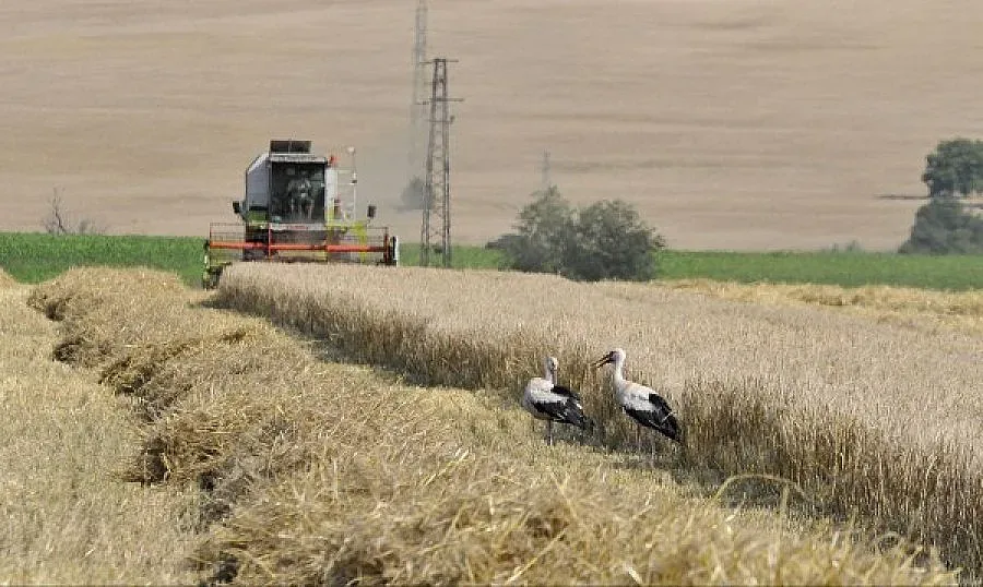 Земеделската земя поскъпна с 5%