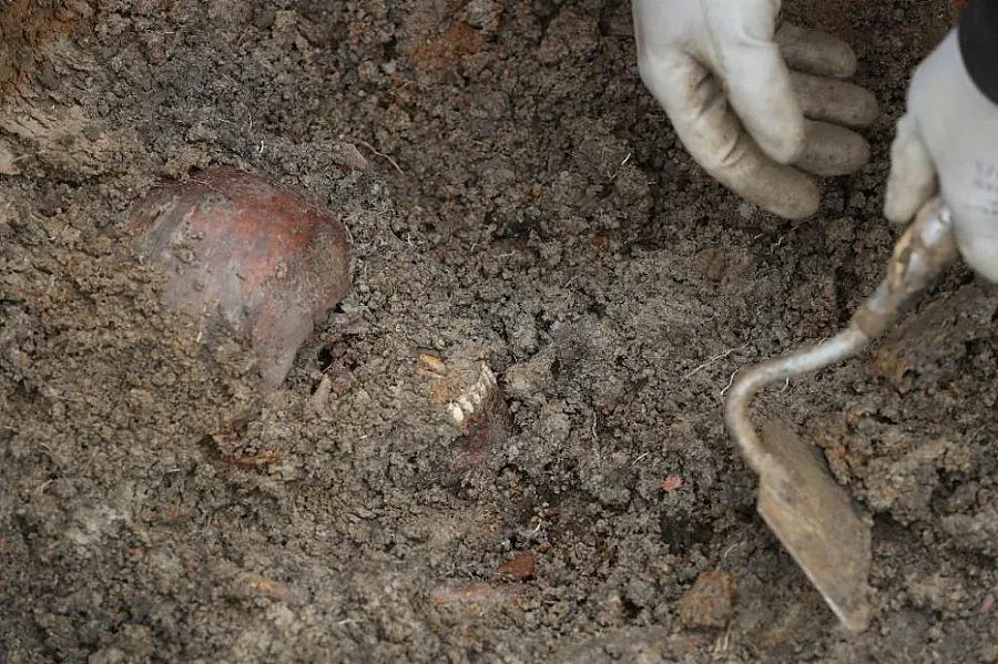 Археолози се натъкнаха в Перу на най-голямото древно жертвоприношение на деца