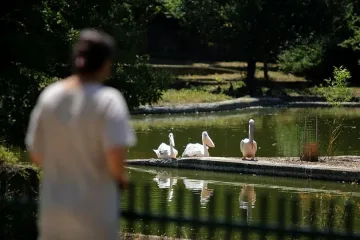 Показват ни как хранят животните в столичния зоопарк