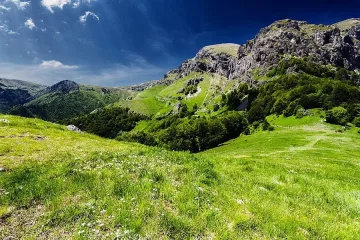 Лятна събота