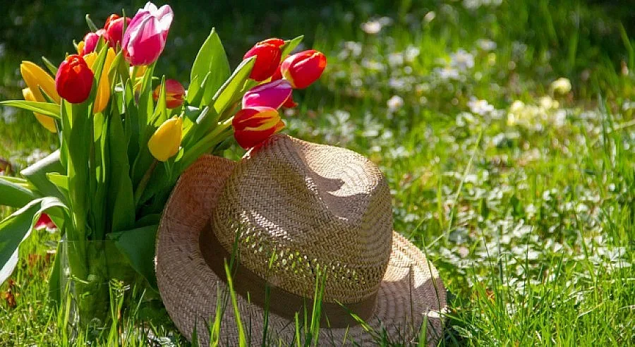 Слънчево и топло