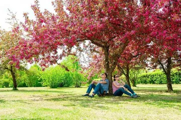 Предимно слънчево