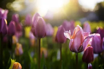 Какво време ни чака през уикенда?