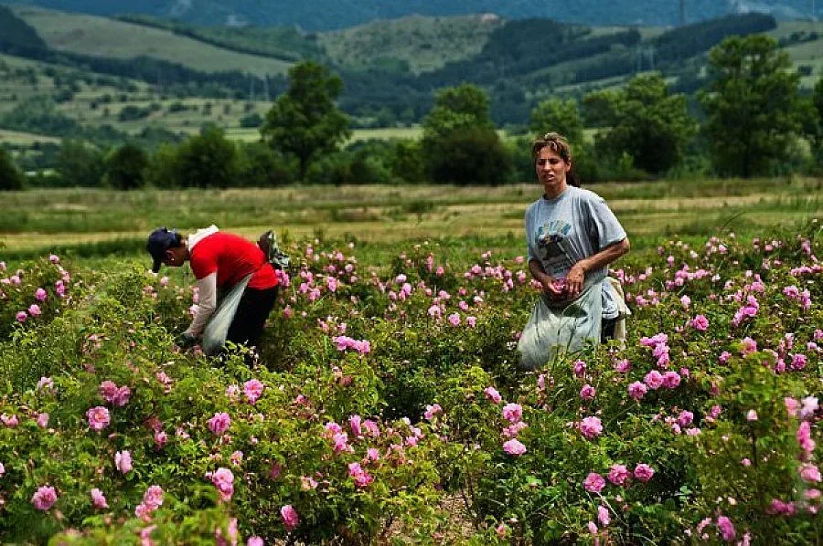 ПРОМЯНА: Трудов договор за 4 часа на ден