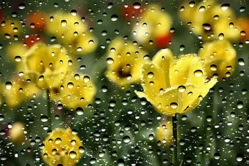 Дъждовно и на Велика събота