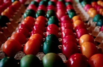 В Бачковския манастир боядисаха хиляди яйца