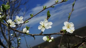 Хладно, но слънчево