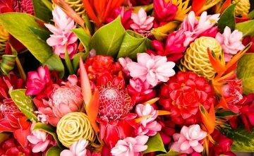 Цветница е! 