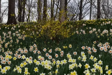 Жълт код за силен вятър в 16 области днес