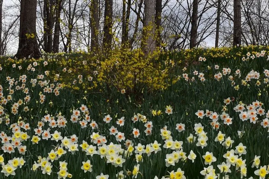Жълт код за силен вятър в 16 области днес