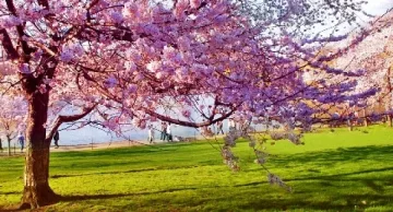 Пролетна събота, 25 градуса