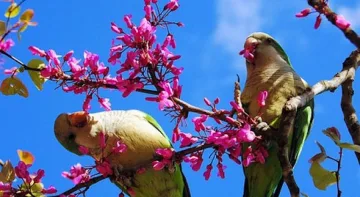 Какво ще е времето през април?