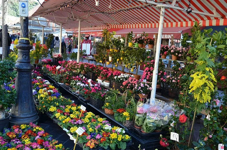 Посрещаме пролетта с цветен фермерски пазар