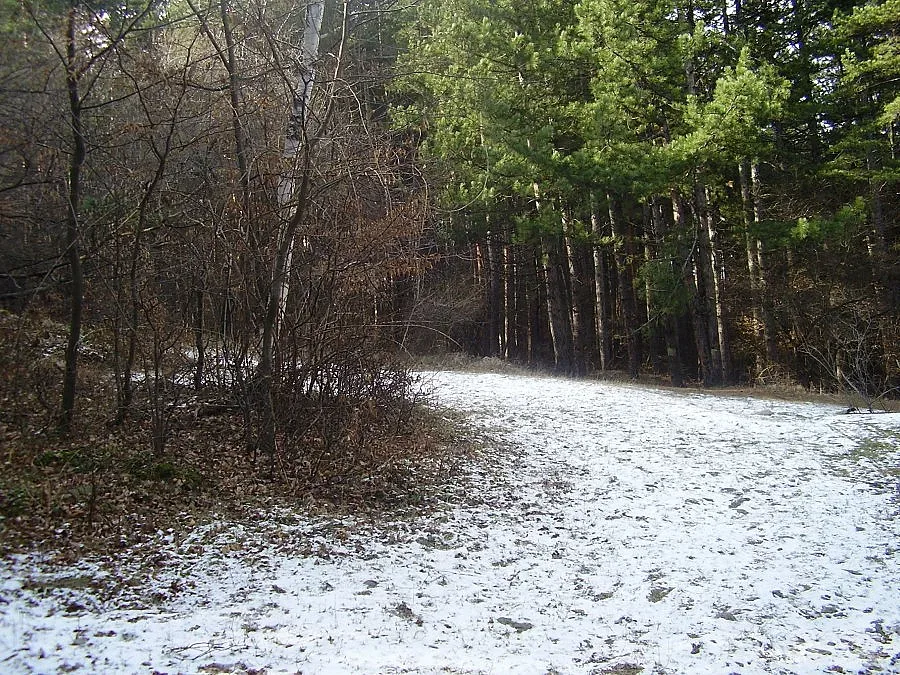 Още студ, дъжд и сняг