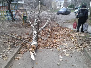 Ураганът потроши коли и покриви във Враца