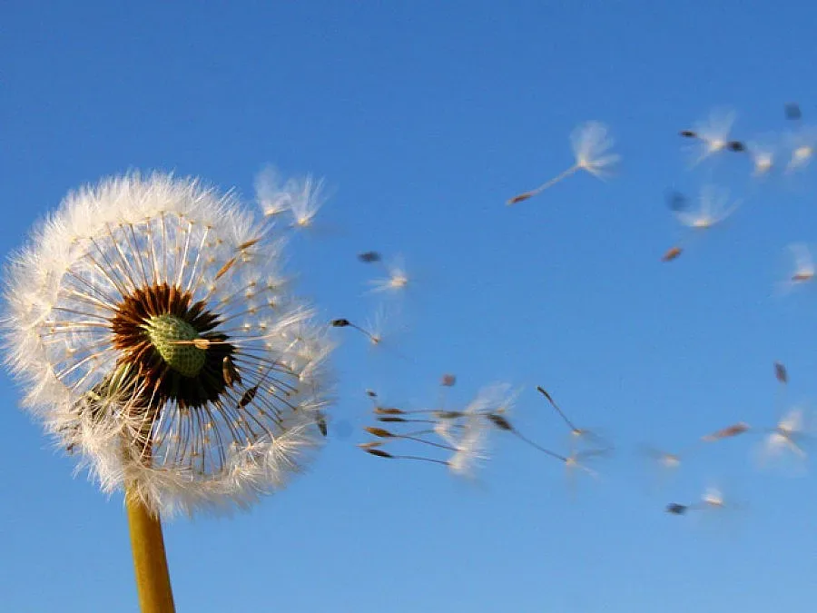 Хладен вятър, дъжд на Изток