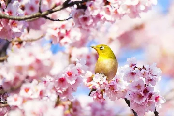 20 грасуда днес, от утре идва дъжд