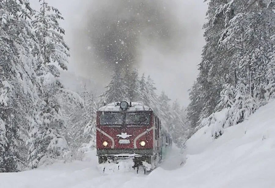 БДЖ се размина с нова катастрофа