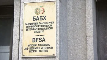 Доказаха птичи грип при умъртвени птици