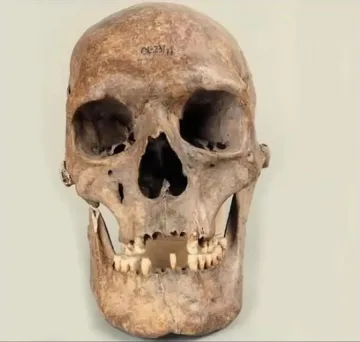 Гигантският череп от остров Тумски, за който учените нямат обяснение