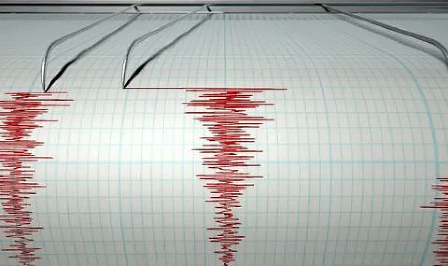 Земетресение от 4.6 по Рихтер събуди тази нощ Асеновград