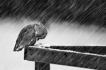 Пак облаци, още дъжд и сняг