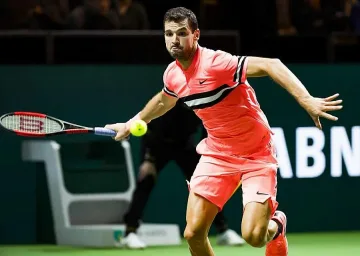 Гришо се класира за финала в Ротердам