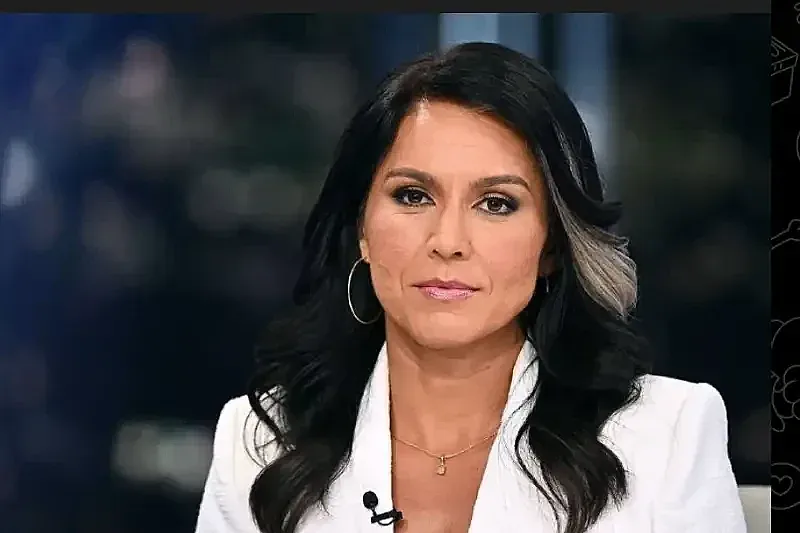 Шефът на разузнаването на САЩ разкри. Кой мъти водата за Украйна