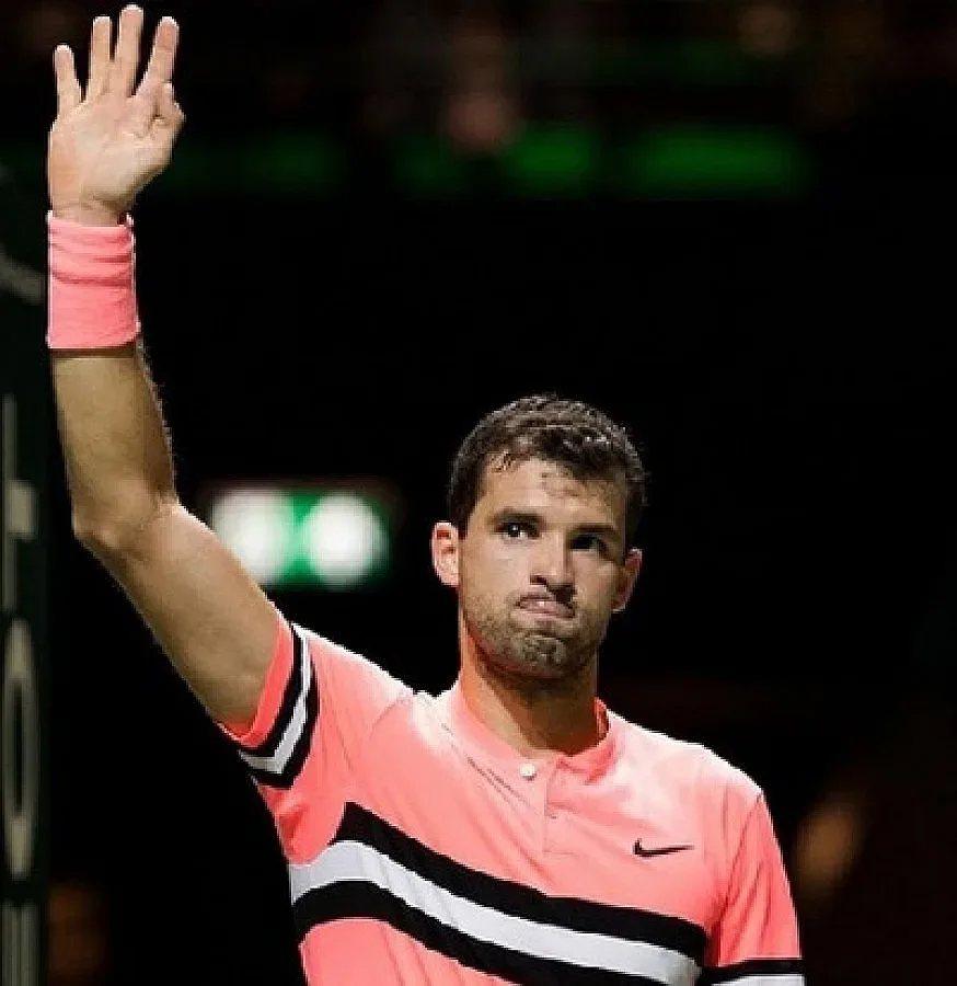 Григор на 1/4-финал в Ротердам