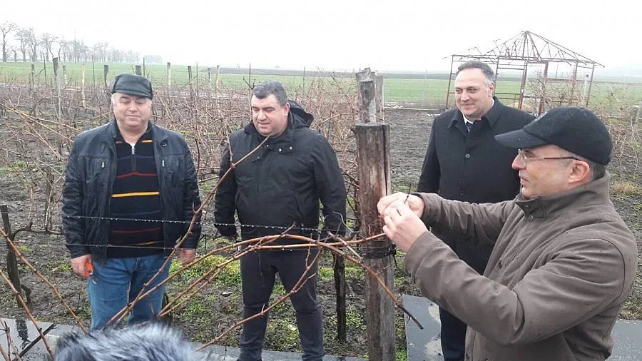 По 26 млн. евро за лозарите и винарите до 2022 г.