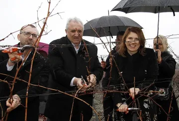 "Винпром Карнобат" възражда старите български сортове