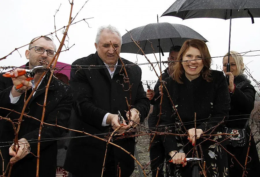 "Винпром Карнобат" възражда старите български сортове