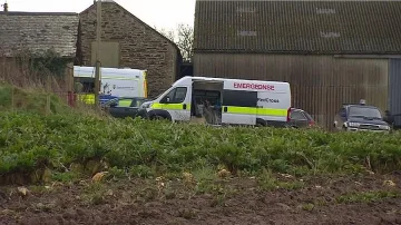 Наказания заради робската ферма