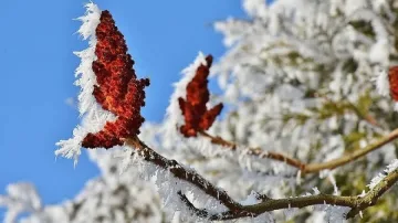 Студ през цялата седмица, нови снеговалежи за Свети Валентин