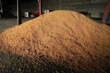 Цената на пшеницата пълзи нагоре