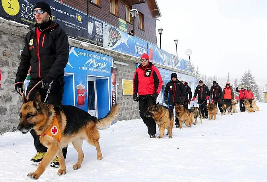 Планинската служба предупреждава: Туризмът в планините е опасен