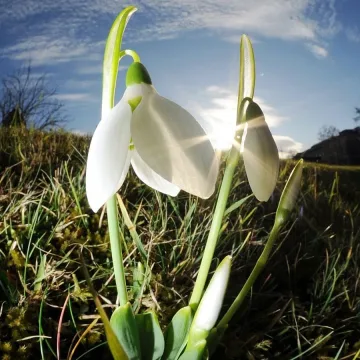 Последен слънчев и мек ден