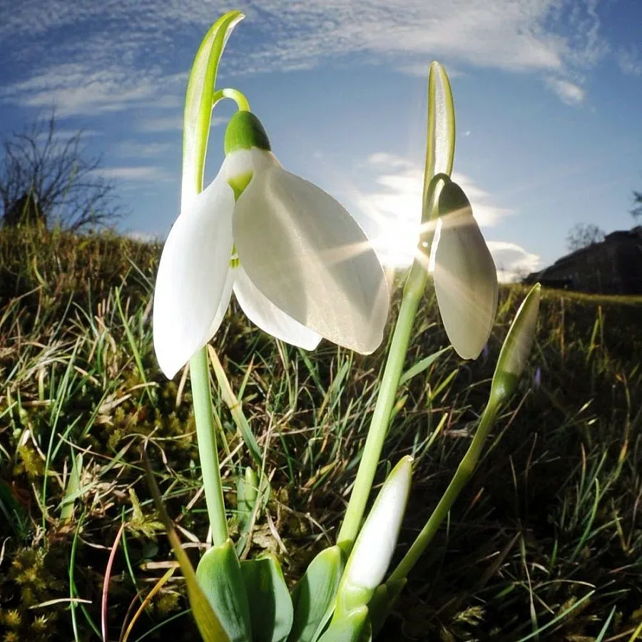 Последен слънчев и мек ден
