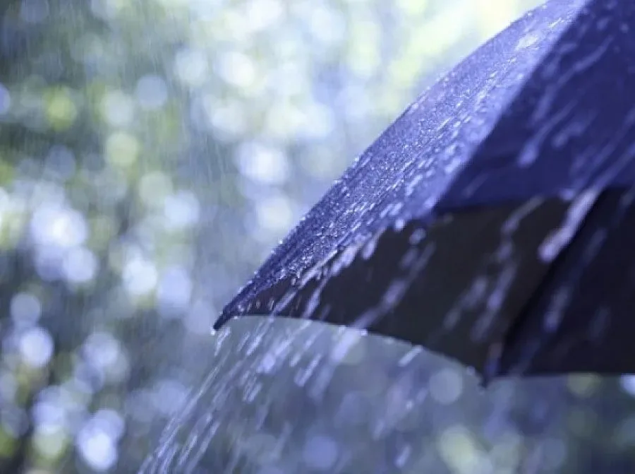 Валежи и застудяване през почивните дни