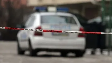 Левове и евро изчезнаха от къща в Разград