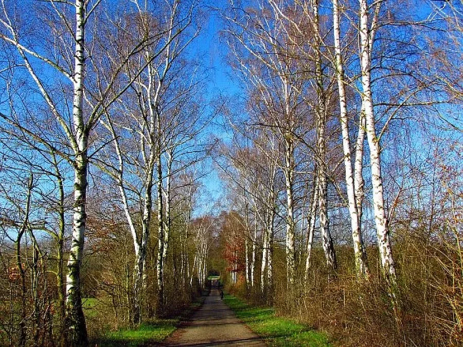 Слънчево и топло