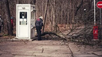 Щети за 700 000 лева във Враца след ураганния вятър