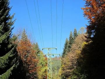 5000 абоната в Западна България без ток заради вятъра