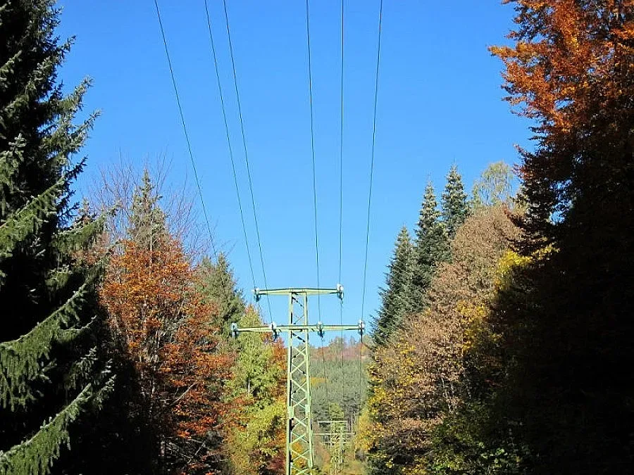 5000 абоната в Западна България без ток заради вятъра