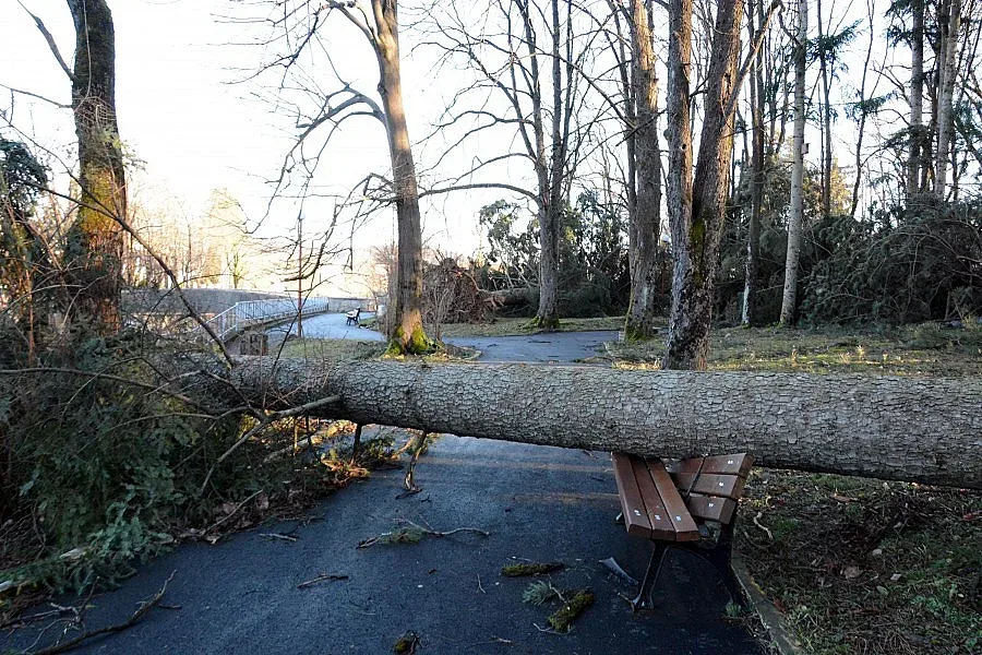 Ураганът остави без парно част от София /ВИЖТЕ КЪДЕ/