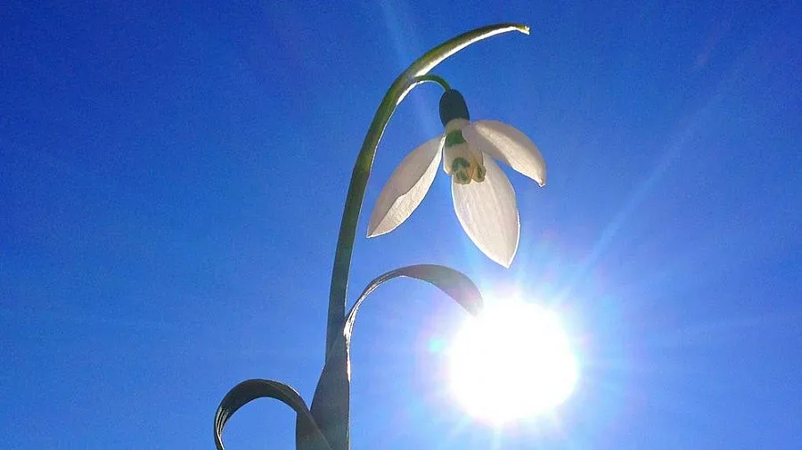 Ветровита събота